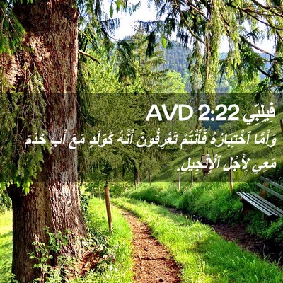 Picture 02 - فِيلِبِّي 2:22 AVD - وَأَمَّا ٱخْتِبَارُهُ - Bible Verse Picture