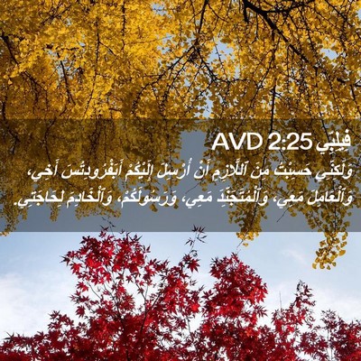 Picture 02 - فِيلِبِّي 2:25 AVD - وَلَكِنِّي حَسِبْتُ مِنَ - Bible Verse Picture