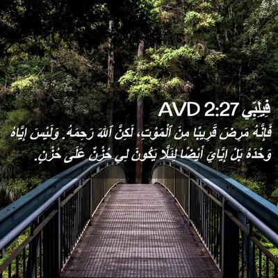 Picture 02 - فِيلِبِّي 2:27 AVD - فَإِنَّهُ مَرِضَ قَرِيبًا - Bible Verse Picture