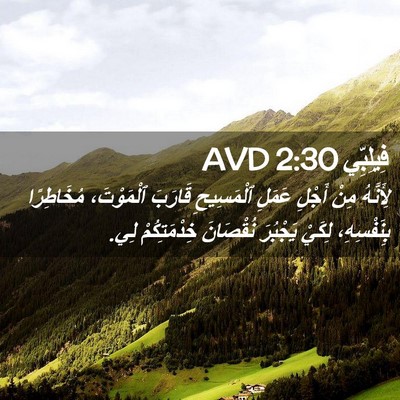 Picture 02 - فِيلِبِّي 2:30 AVD - لِأَنَّهُ مِنْ أَجْلِ - Bible Verse Picture