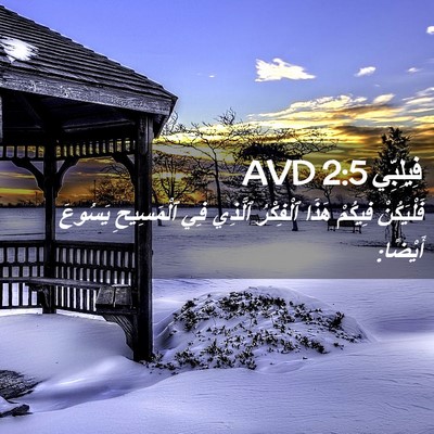 Picture 02 - فِيلِبِّي 2:5 AVD - فَلْيَكُنْ فِيكُمْ هَذَا - Bible Verse Picture