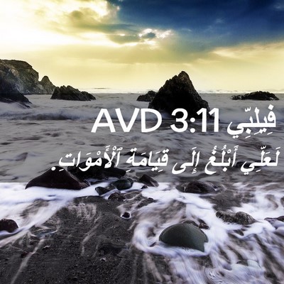 Picture 02 - فِيلِبِّي 3:11 AVD - لَعَلِّي أَبْلُغُ إِلَى - Bible Verse Picture