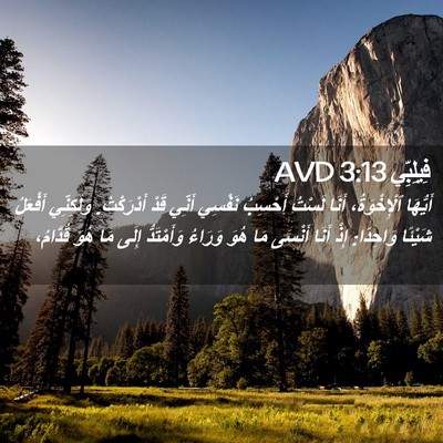 Picture 02 - فِيلِبِّي 3:13 AVD - أَيُّهَا ٱلْإِخْوَةُ، - Bible Verse Picture