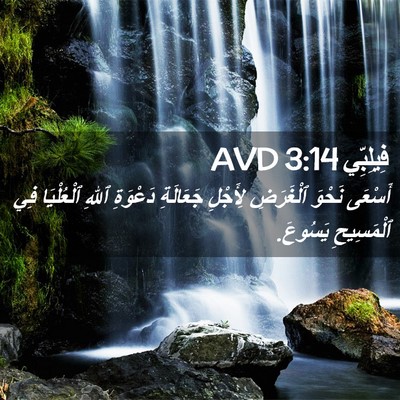 Picture 02 - فِيلِبِّي 3:14 AVD - أَسْعَى نَحْوَ ٱلْغَرَضِ - Bible Verse Picture