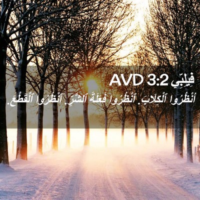 Picture 02 - فِيلِبِّي 3:2 AVD - اُنْظُرُوا ٱلْكِلَابَ. - Bible Verse Picture