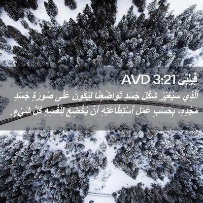 Picture 02 - فِيلِبِّي 3:21 AVD - ٱلَّذِي سَيُغَيِّرُ - Bible Verse Picture