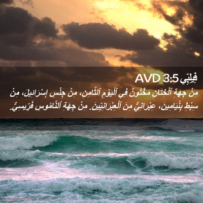 Picture 02 - فِيلِبِّي 3:5 AVD - مِنْ جِهَةِ ٱلْخِتَانِ - Bible Verse Picture