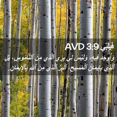 Picture 02 - فِيلِبِّي 3:9 AVD - وَأُوجَدَ فِيهِ، وَلَيْسَ - Bible Verse Picture