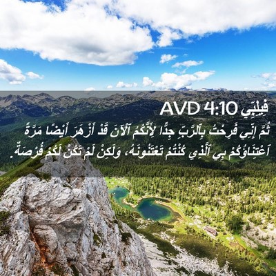 Picture 02 - فِيلِبِّي 4:10 AVD - ثُمَّ إِنِّي فَرِحْتُ - Bible Verse Picture