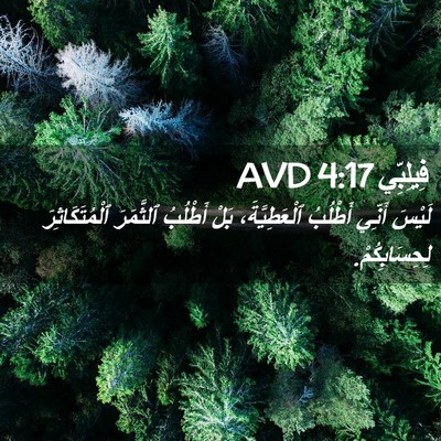 Picture 02 - فِيلِبِّي 4:17 AVD - لَيْسَ أَنِّي أَطْلُبُ - Bible Verse Picture