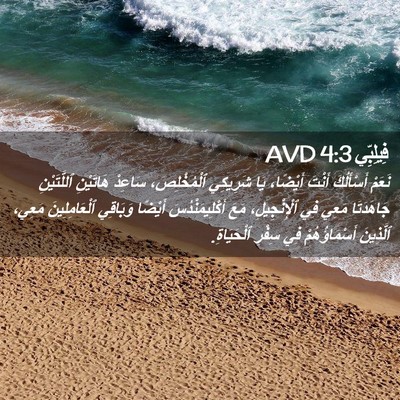 Picture 02 - فِيلِبِّي 4:3 AVD - نَعَمْ أَسْأَلُكَ أَنْتَ - Bible Verse Picture