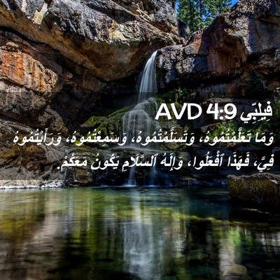 Picture 02 - فِيلِبِّي 4:9 AVD - وَمَا تَعَلَّمْتُمُوهُ، - Bible Verse Picture