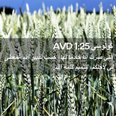 Picture 02 - كُولُوسِي 1:25 AVD - ٱلَّتِي صِرْتُ أَنَا - Bible Verse Picture