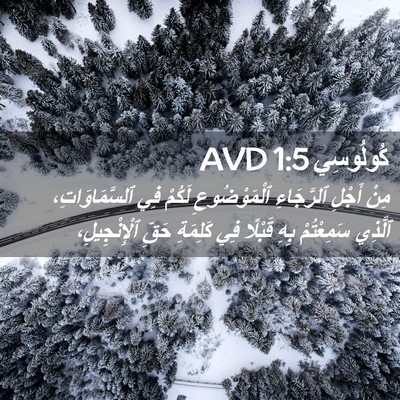 Picture 02 - كُولُوسِي 1:5 AVD - مِنْ أَجْلِ ٱلرَّجَاءِ - Bible Verse Picture