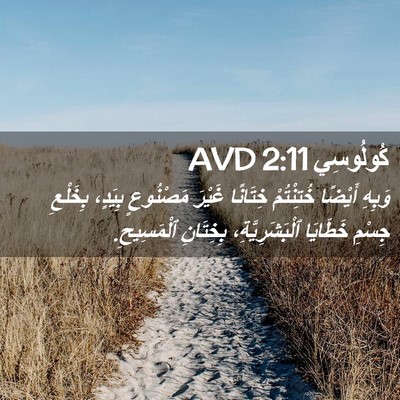 Picture 02 - كُولُوسِي 2:11 AVD - وَبِهِ أَيْضًا خُتِنْتُمْ - Bible Verse Picture