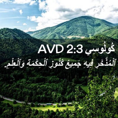 Picture 02 - كُولُوسِي 2:3 AVD - ٱلْمُذَّخَرِ فِيهِ - Bible Verse Picture