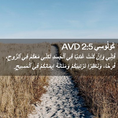Picture 02 - كُولُوسِي 2:5 AVD - فَإِنِّي وَإِنْ كُنْتُ - Bible Verse Picture