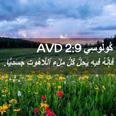 Picture 02 - كُولُوسِي 2:9 AVD - فَإِنَّهُ فِيهِ يَحِلُّ - Bible Verse Picture