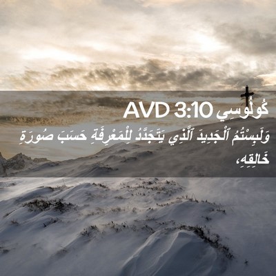 Picture 02 - كُولُوسِي 3:10 AVD - وَلَبِسْتُمُ ٱلْجَدِيدَ - Bible Verse Picture