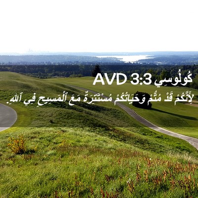 Picture 02 - كُولُوسِي 3:3 AVD - لِأَنَّكُمْ قَدْ مُتُّمْ - Bible Verse Picture