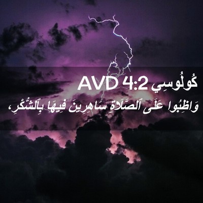 Picture 02 - كُولُوسِي 4:2 AVD - وَاظِبُوا عَلَى - Bible Verse Picture