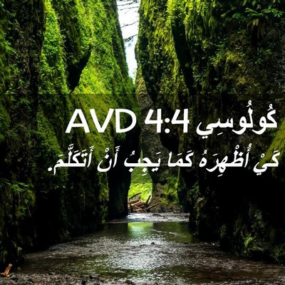 Picture 02 - كُولُوسِي 4:4 AVD - كَيْ أُظْهِرَهُ كَمَا - Bible Verse Picture