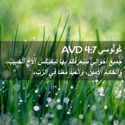 Picture 02 - كُولُوسِي 4:7 AVD - جَمِيعُ أَحْوَالِي - Bible Verse Picture
