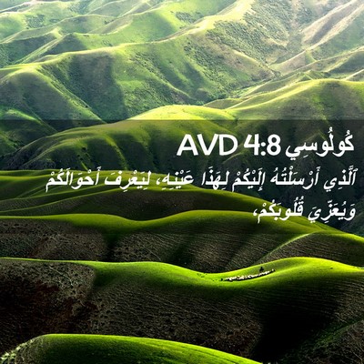 Picture 02 - كُولُوسِي 4:8 AVD - ٱلَّذِي أَرْسَلْتُهُ - Bible Verse Picture