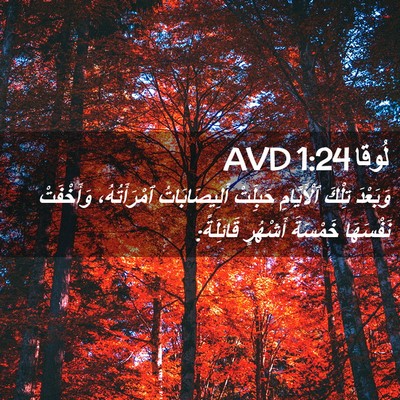 Picture 02 - لُوقا 1:24 AVD - وَبَعْدَ تِلْكَ - Bible Verse Picture