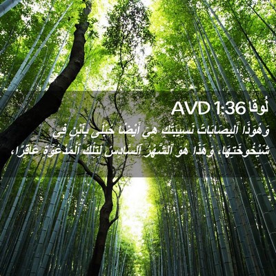 Picture 02 - لُوقا 1:36 AVD - وَهُوَذَا أَلِيصَابَاتُ - Bible Verse Picture