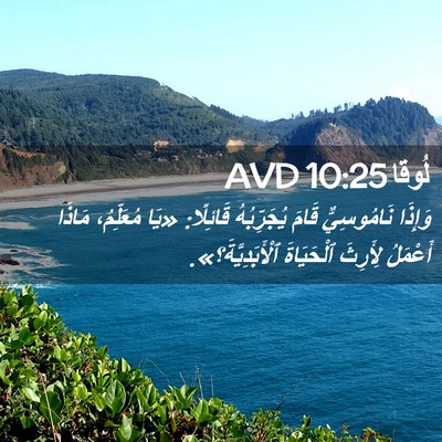 Picture 02 - لُوقا 10:25 AVD - وَإِذَا نَامُوسِيٌّ قَامَ - Bible Verse Picture