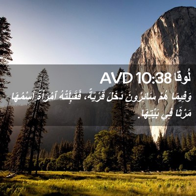 Picture 02 - لُوقا 10:38 AVD - وَفِيمَا هُمْ سَائِرُونَ - Bible Verse Picture