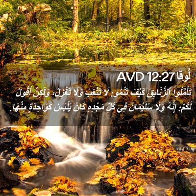 Picture 02 - لُوقا 12:27 AVD - تَأَمَّلُوا ٱلزَّنَابِقَ - Bible Verse Picture