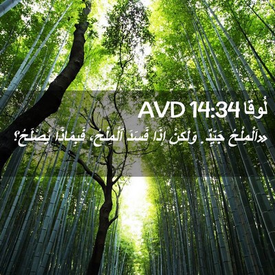 Picture 02 - لُوقا 14:34 AVD - «اَلْمِلْحُ جَيِّدٌ. - Bible Verse Picture