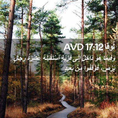 Picture 02 - لُوقا 17:12 AVD - وَفِيمَا هُوَ دَاخِلٌ - Bible Verse Picture