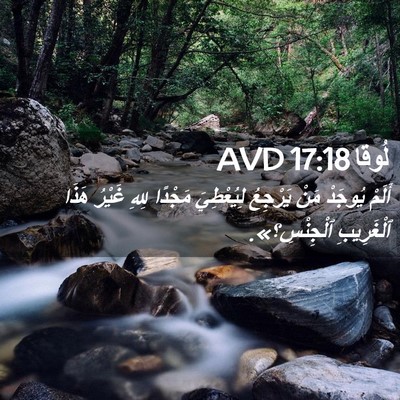 Picture 02 - لُوقا 17:18 AVD - أَلَمْ يُوجَدْ مَنْ - Bible Verse Picture