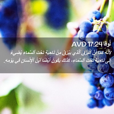 Picture 02 - لُوقا 17:24 AVD - لِأَنَّهُ كَمَا أَنَّ - Bible Verse Picture
