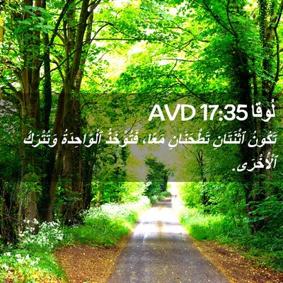 Picture 02 - لُوقا 17:35 AVD - تَكُونُ ٱثْنَتَانِ - Bible Verse Picture