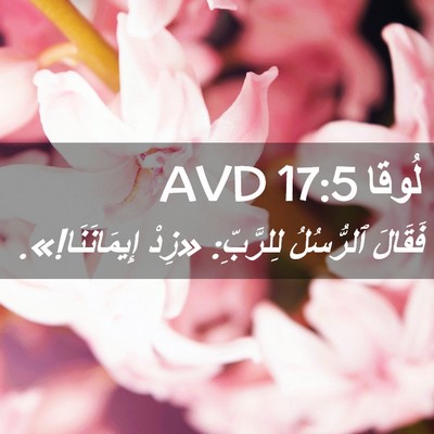 Picture 02 - لُوقا 17:5 AVD - فَقَالَ ٱلرُّسُلُ - Bible Verse Picture