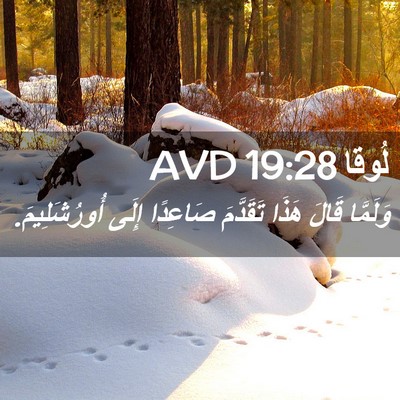 Picture 02 - لُوقا 19:28 AVD - وَلَمَّا قَالَ هَذَا - Bible Verse Picture