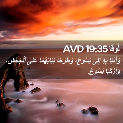 Picture 02 - لُوقا 19:35 AVD - وَأَتَيَا بِهِ إِلَى - Bible Verse Picture