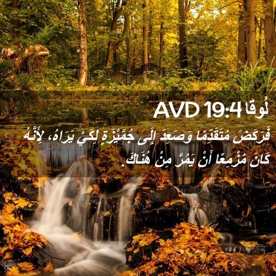 Picture 02 - لُوقا 19:4 AVD - فَرَكَضَ مُتَقَدِّمًا - Bible Verse Picture