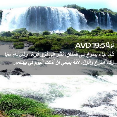 Picture 02 - لُوقا 19:5 AVD - فَلَمَّا جَاءَ يَسُوعُ - Bible Verse Picture