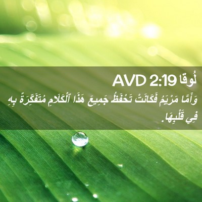 Picture 02 - لُوقا 2:19 AVD - وَأَمَّا مَرْيَمُ - Bible Verse Picture