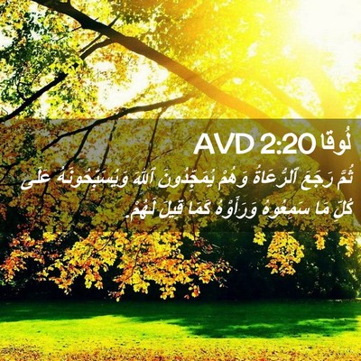Picture 02 - لُوقا 2:20 AVD - ثُمَّ رَجَعَ ٱلرُّعَاةُ - Bible Verse Picture