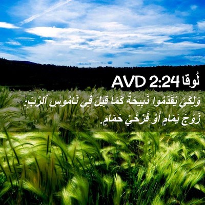 Picture 02 - لُوقا 2:24 AVD - وَلِكَيْ يُقَدِّمُوا - Bible Verse Picture