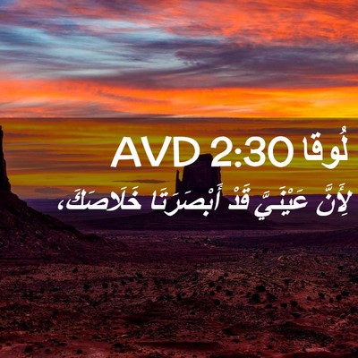 Picture 02 - لُوقا 2:30 AVD - لِأَنَّ عَيْنَيَّ قَدْ - Bible Verse Picture