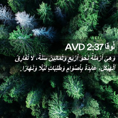 Picture 02 - لُوقا 2:37 AVD - وَهِيَ أَرْمَلَةٌ نَحْوَ - Bible Verse Picture
