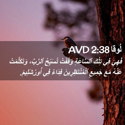 Picture 02 - لُوقا 2:38 AVD - فَهِيَ فِي تِلْكَ - Bible Verse Picture