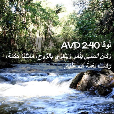 Picture 02 - لُوقا 2:40 AVD - وَكَانَ ٱلصَّبِيُّ - Bible Verse Picture
